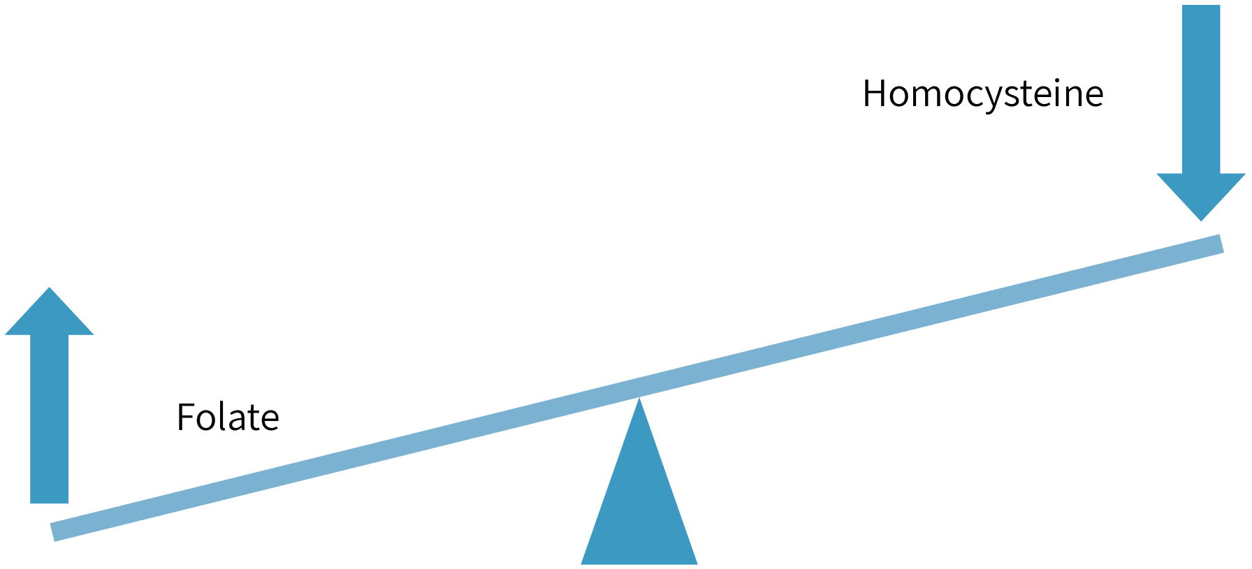 Folate and Homocysteine