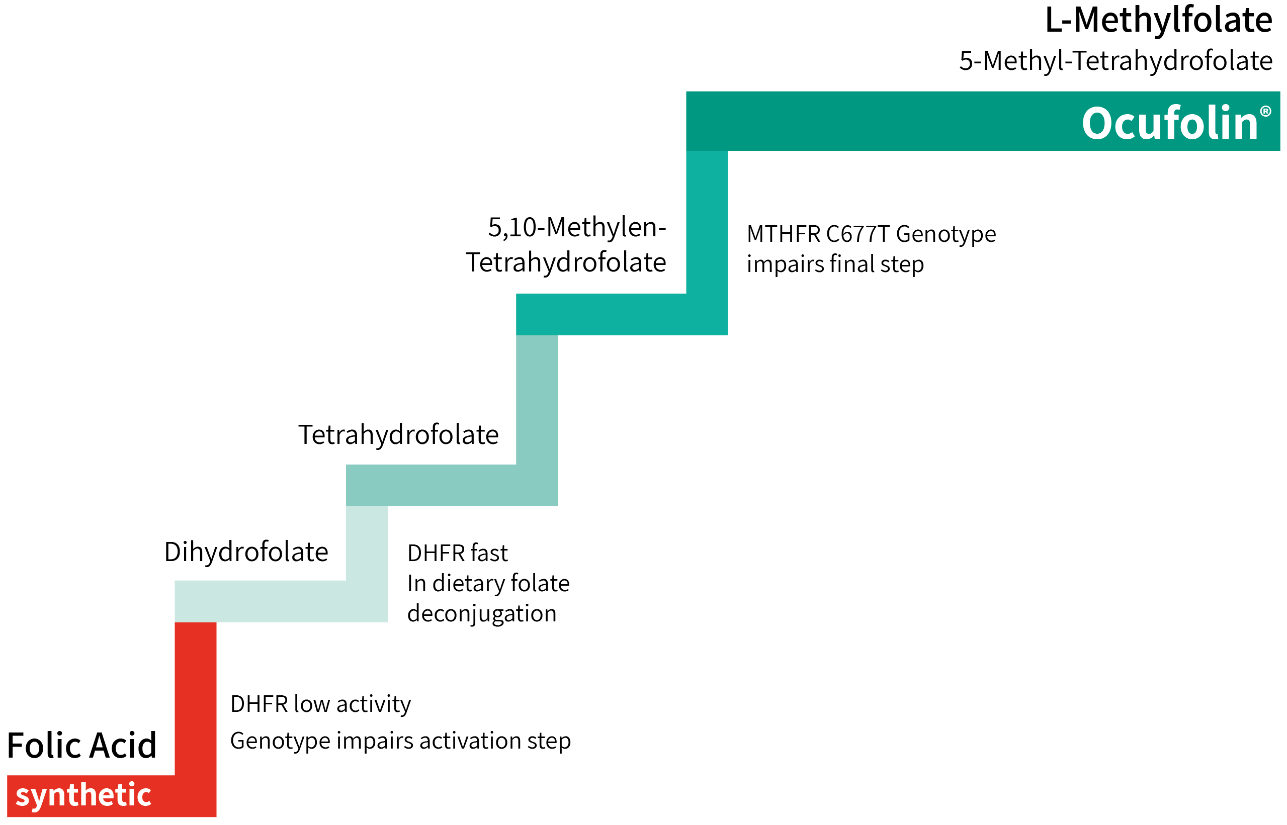 Folic Acid is not equal to L-methylfolate