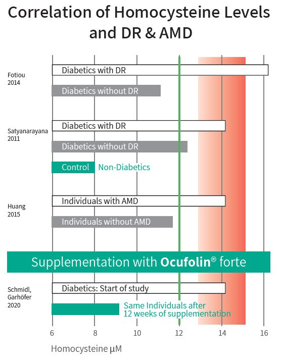 Homocysteine Impact on DR and AMD
